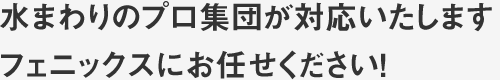 水まわりのプロ集団が対応いたします。フェニックスにお任せください！